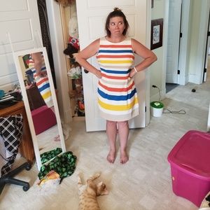 Striped Form-Flattering Kim Rogers Midi Dress